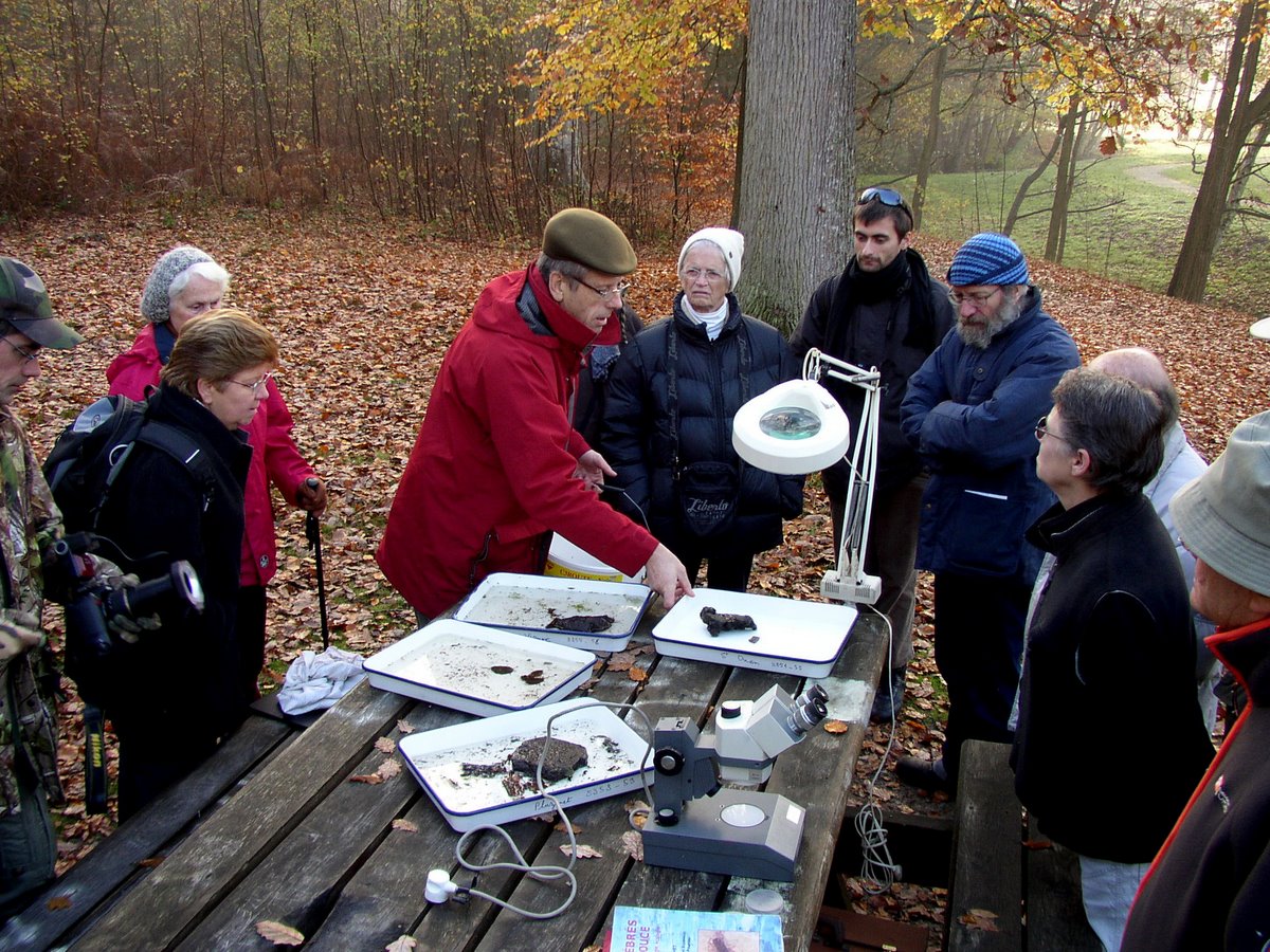 2011 11 Macrofaune benthique St Léger 03